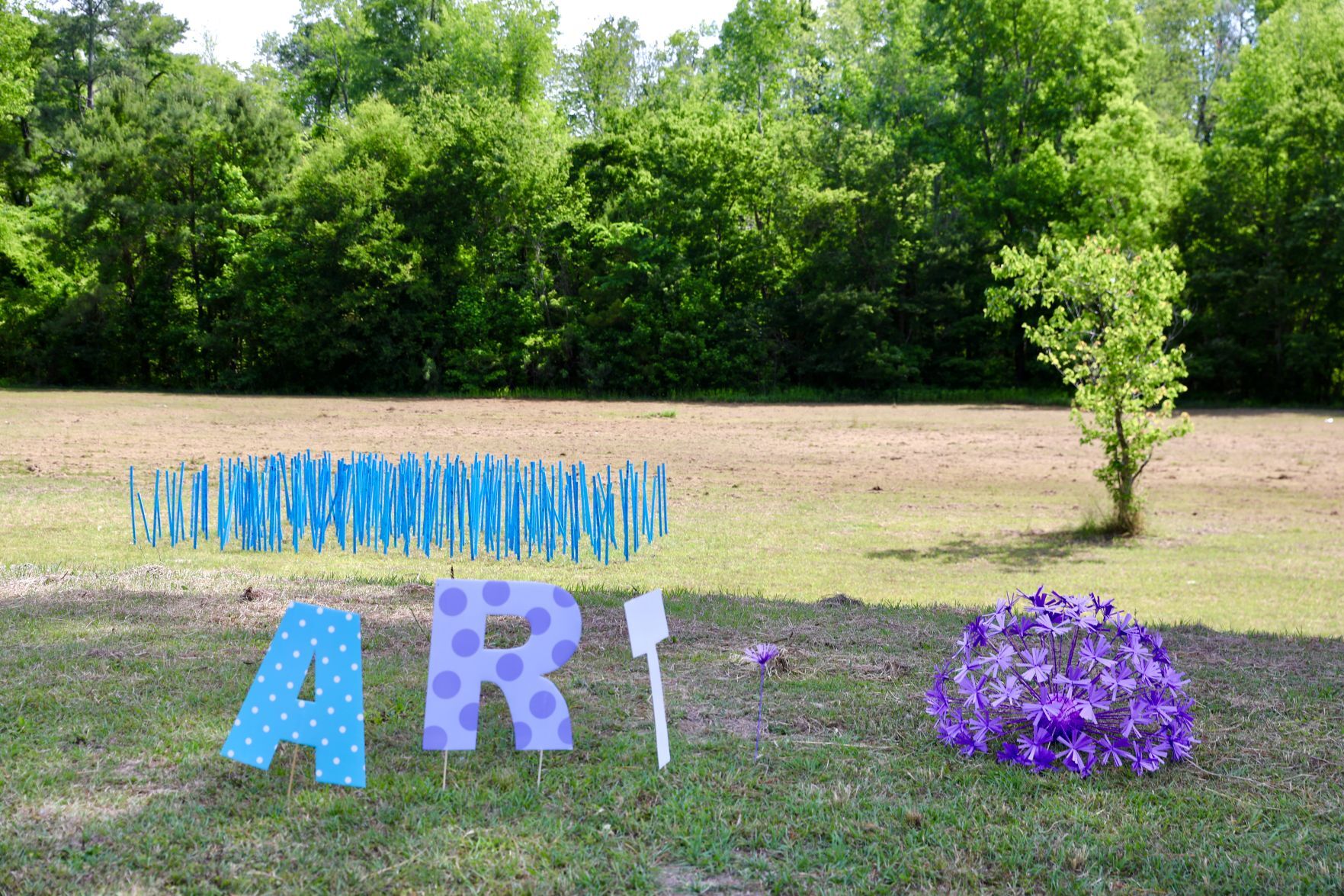 Outdoor Art Exhibit